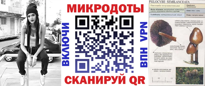 как найти   Каспийск  Псилоцибиновые грибы прущие грибы 