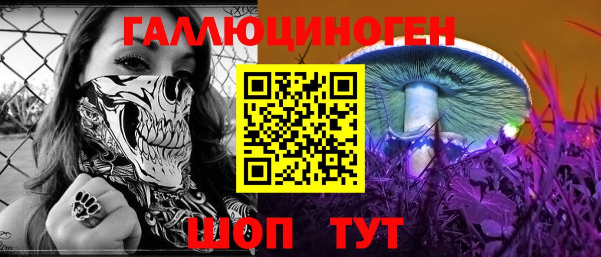 Галлюциногенные грибы Cubensis Каспийск
