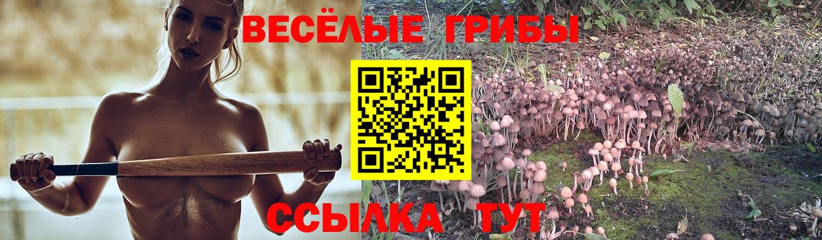 Псилоцибиновые грибы мицелий  Вход с VPN  Галлюциногенные грибы мухоморы  Каспийск 